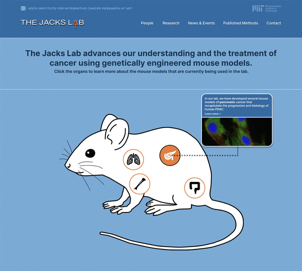 The Jacks Lab home page screenshot